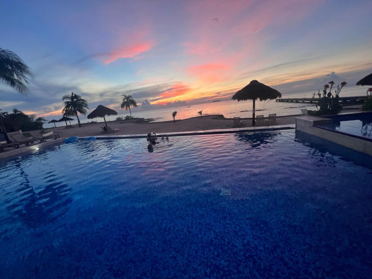 The Queen Of Cozumel Beach House -Luxury Beachfront Villa- Million Dollars View מראה חיצוני תמונה