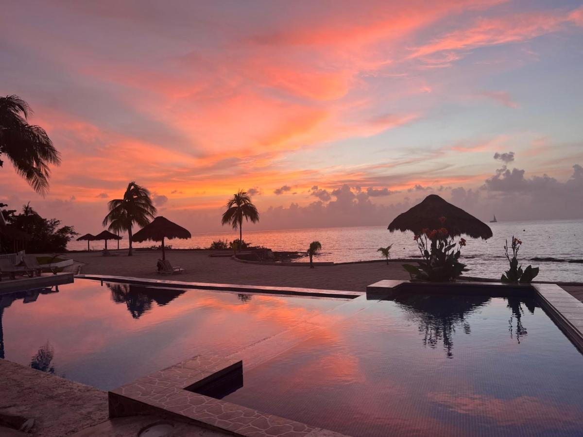 The Queen Of Cozumel Beach House -Luxury Beachfront Villa- Million Dollars View מראה חיצוני תמונה