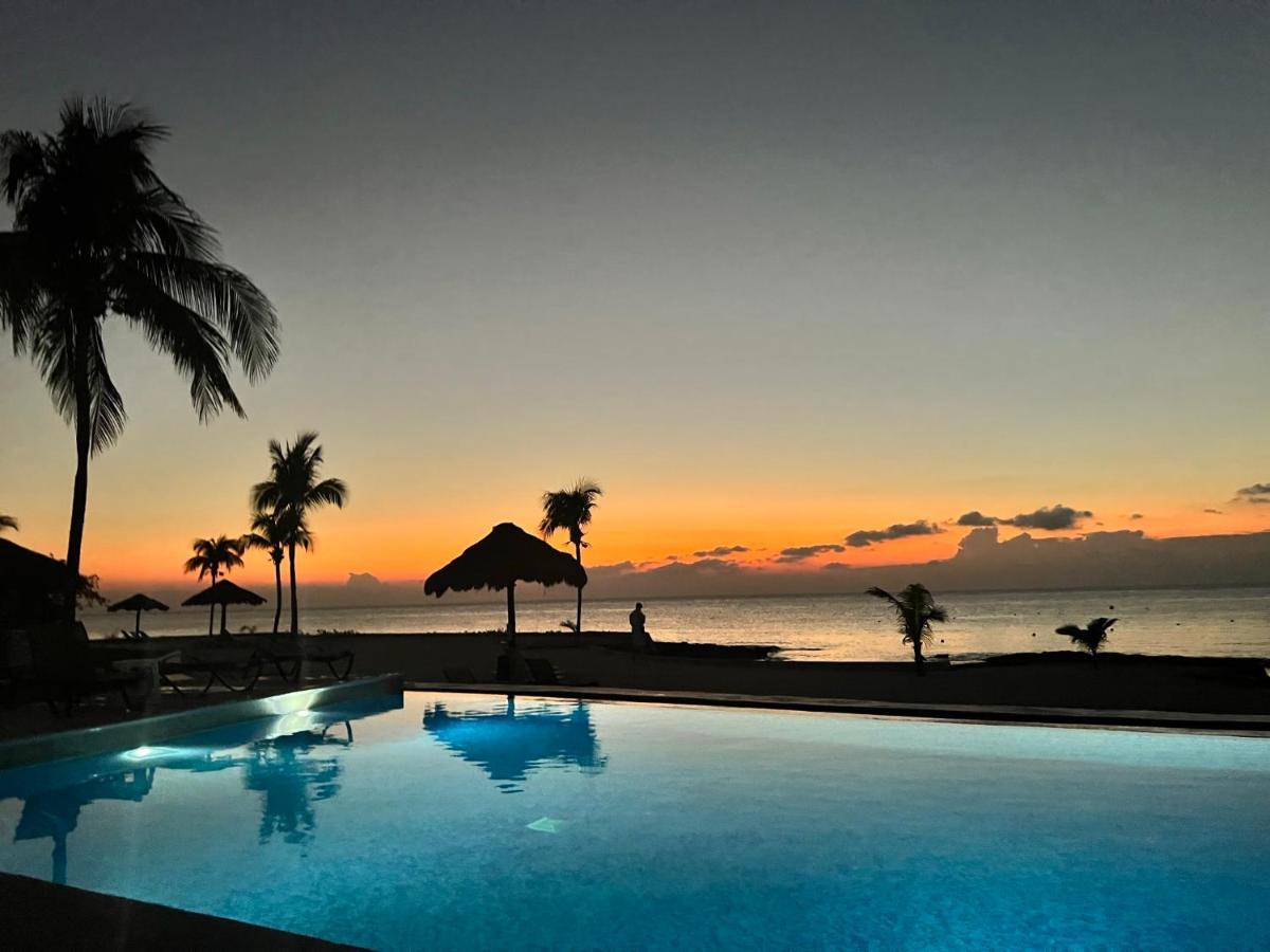 The Queen Of Cozumel Beach House -Luxury Beachfront Villa- Million Dollars View מראה חיצוני תמונה