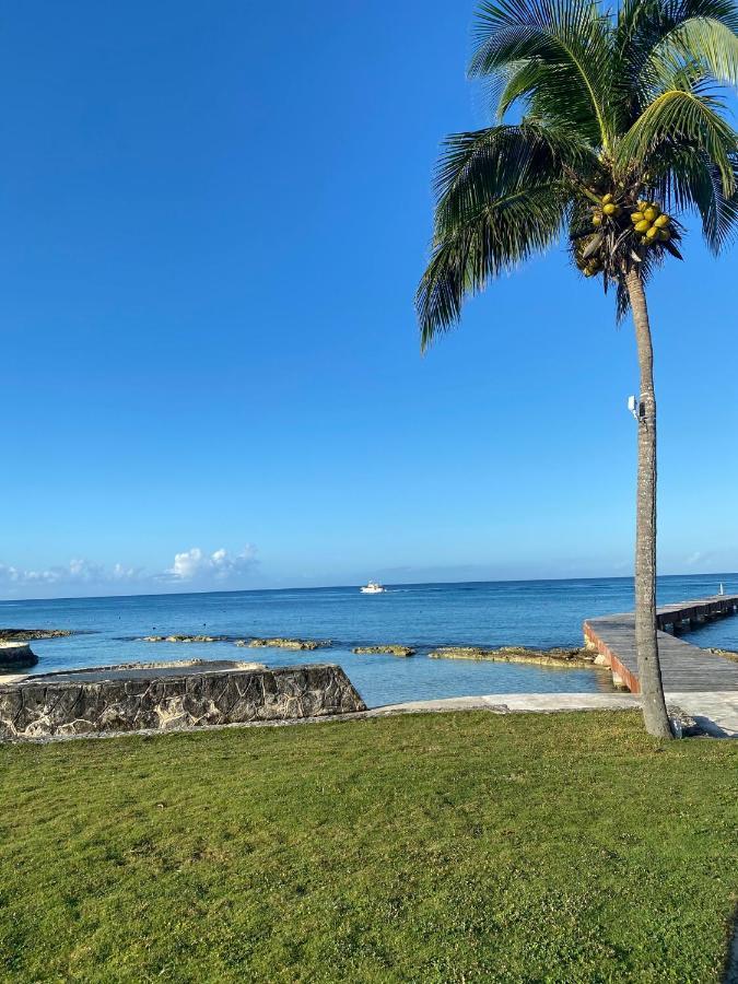 The Queen Of Cozumel Beach House -Luxury Beachfront Villa- Million Dollars View מראה חיצוני תמונה